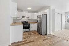 Marie Chavoin | 4 1/2 | 2 Chambres | 2 Bdrm | Hull - Photo 7