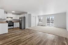 Marie Chavoin | 4 1/2 | 2 Chambres | 2 Bdrm | Hull - Photo 8