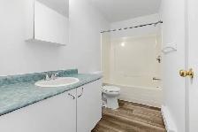 Marie Chavoin | 4 1/2 | 2 Chambres | 2 Bdrm | Hull - Photo 13