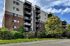 BEAU GRAND 3 ½  RÉNOVÉ,1135$/MOIS TOUT INCLUS, POUR NOVEMBRE - Photo 8