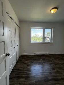 LOGEMENT 4 ½  GARAGE, GRAND BALCON, STATIONNEMENT, CABANON! - Photo 10