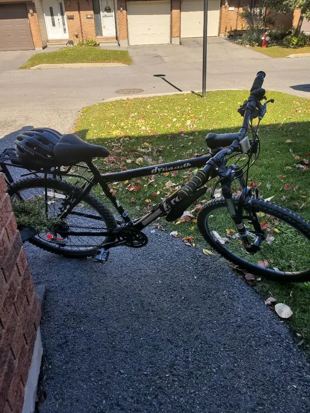 Adult Bicycle for sale.
