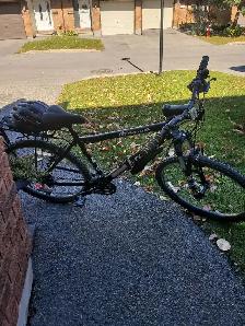 Adult Bicycle for sale.