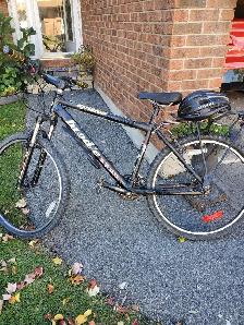 Adult Bicycle for sale. - Photo 2