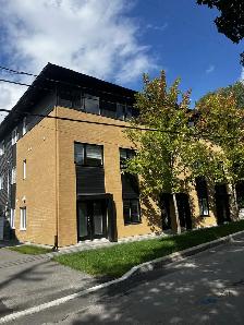 LOGEMENT 4 ½ SITUÉ NIVEAU TERRASSE, CABANON À LOUER!