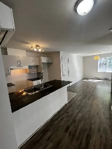 LOGEMENT 4 ½ SITUÉ NIVEAU TERRASSE, CABANON À LOUER! - Photo 2