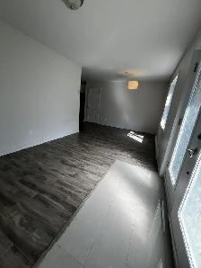 LOGEMENT 4 ½ SITUÉ NIVEAU TERRASSE, CABANON À LOUER! - Photo 5