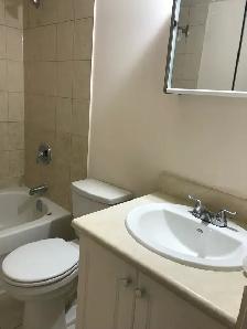 1 BEDROOM FOR RENT - SCARBOROUGH - Photo 5
