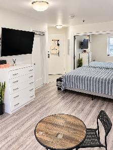 50% 1er Mois - 2 1/2 Rénové Metro Papineau Montréal Appartement