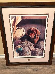 Ducks Unlimited Print. Rookie.