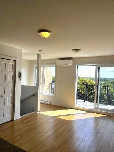 LOGEMENT 3 ½ AVEC BALCON   STATIONNEMENT À LOUER - Photo 3