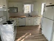 Recently Renovated 1 BR Flats in South End House - Photo 2