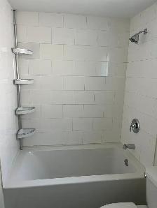 Recently Renovated 1 BR Flats in South End House - Photo 3