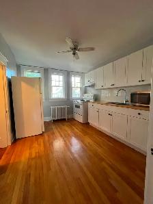 Recently Renovated 1 BR Flats in South End House - Photo 4
