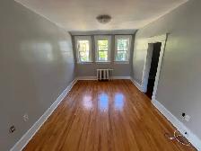 Recently Renovated 1 BR Flats in South End House - Photo 5