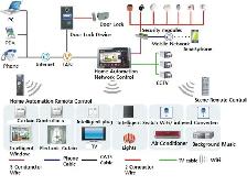 Network and Technical Support Program