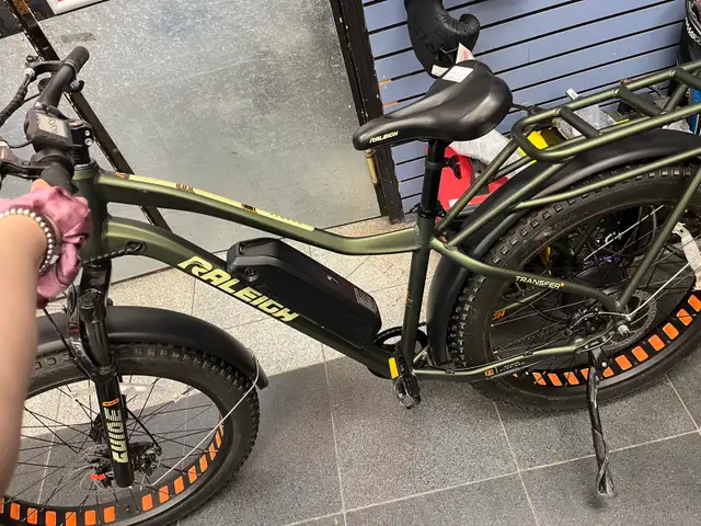 Raleigh Quanta E-bike with Charger