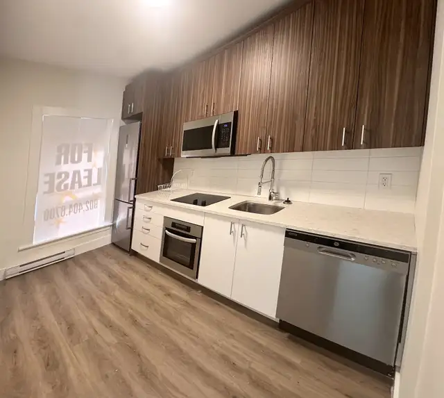 Modern Downtown Apartment | 1665 Barrington Street | $2,000