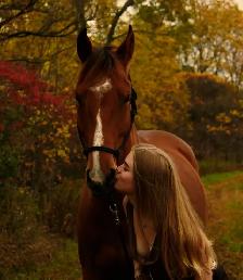 Equine Photography - Photo 2