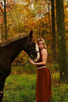 Equine Photography - Photo 3
