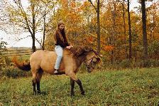 Equine Photography - Photo 7
