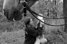 Equine Photography - Photo 8