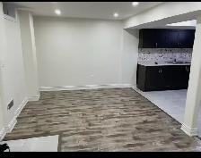 one room for rent in two bedroom basement - Photo 4