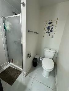 one room for rent in two bedroom basement - Photo 6