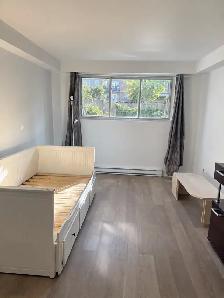 MAGNIFIQUE GRAND 3 ½ SEMI-MEUBLÉ RÉNOVÉ À LOUER