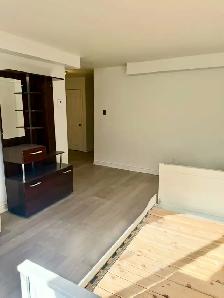 MAGNIFIQUE GRAND 3 ½ SEMI-MEUBLÉ RÉNOVÉ À LOUER - Photo 21