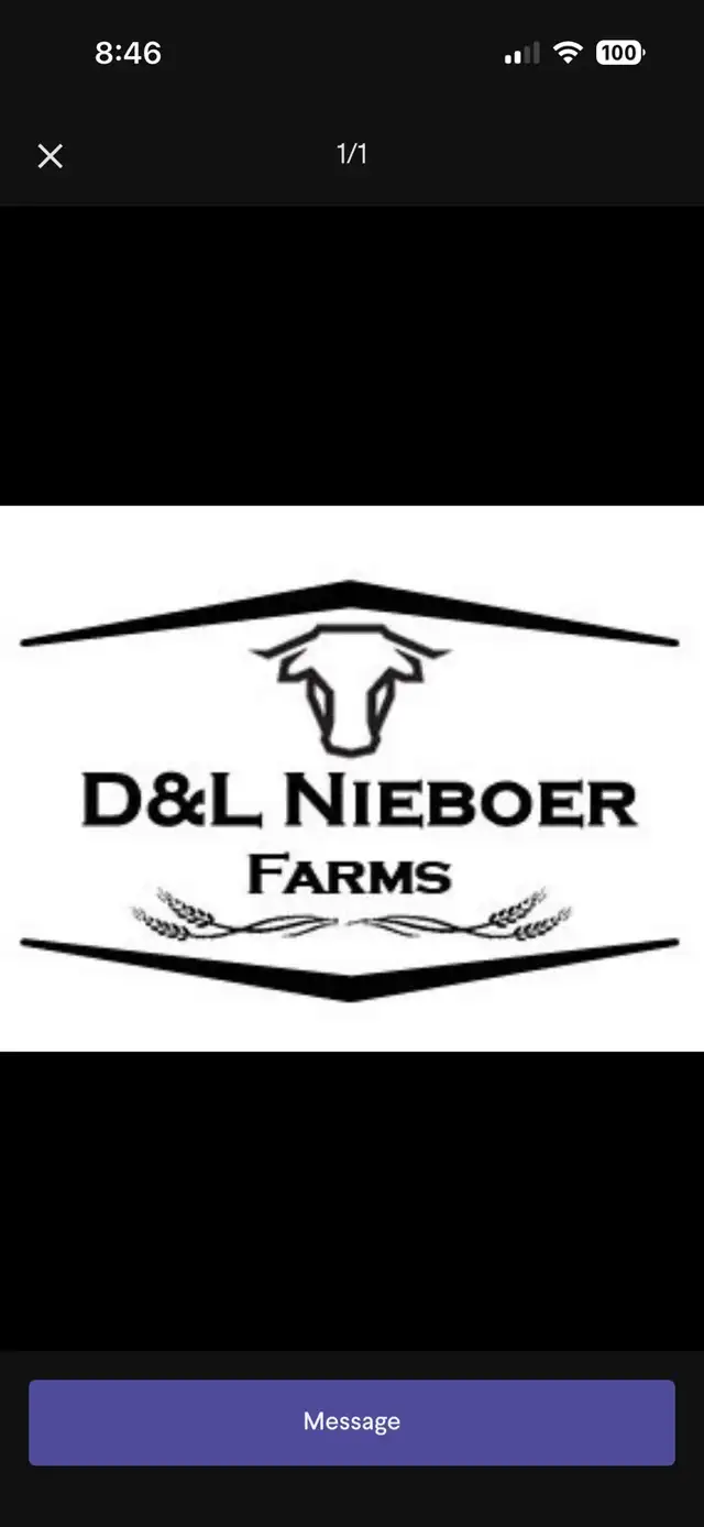 Feedlot Barn Worker