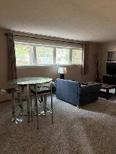 Spacious & bright 2 bed bsmt suite in desirable River Heights - Photo 2