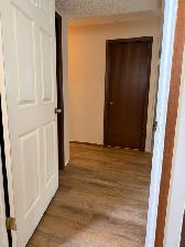 Spacious & bright 2 bed bsmt suite in desirable River Heights - Photo 4