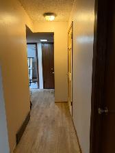 Spacious & bright 2 bed bsmt suite in desirable River Heights - Photo 6