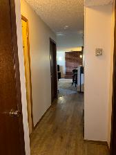 Spacious & bright 2 bed bsmt suite in desirable River Heights - Photo 7