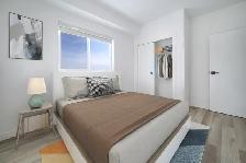 LUXURY 2 Bed 2 Bath apartment! Move In Ready! - Photo 6