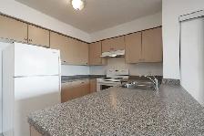 One bedroom, Weston and Eglinton West - ID 1131 - Photo 2