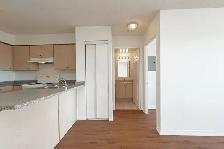 One bedroom, Weston and Eglinton West - ID 1131 - Photo 6