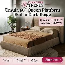 Furniture Trends Ursula Queen Platform Bed