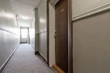Renovated one bedroom, Roncesvalles and Queensway - ID 4561 - Photo 3