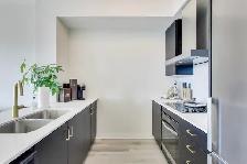 GORGEOUS 1   DEN PENTHOUSE IN STONEY CREEK - Photo 4