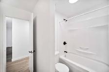 NEWLY Renovated 1 Bedroom Apartment! Move In Ready! - Photo 6
