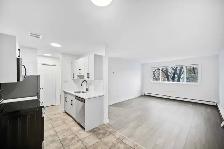 NEWLY Renovated 1 Bedroom Apartment! Move In Ready! - Photo 8