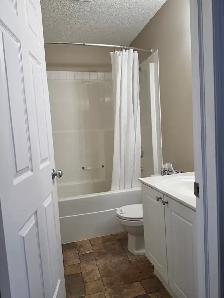 Charming Home in Bridlewood SW for Rent - Photo 6