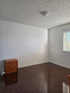 Charming Home in Bridlewood SW for Rent - Photo 8