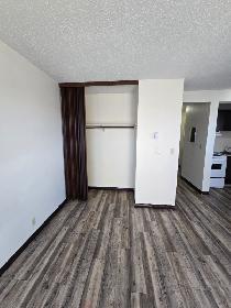 Bachelor Suite on the South Hill available Now! - Photo 3