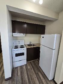 Bachelor Suite on the South Hill available Now! - Photo 5