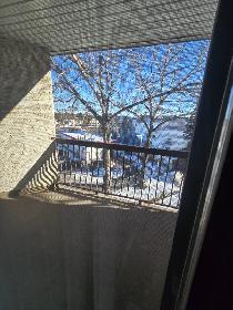 Bachelor Suite on the South Hill available Now! - Photo 7