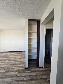 Bachelor Suite on the South Hill available Now! - Photo 8