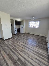 Bachelor Suite on the South Hill available Now! - Photo 9